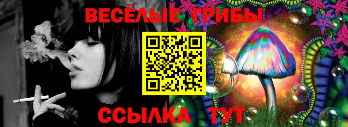 Добрянка  Псилоцибиновые грибы MAGIC MUSHROOMS  Вход с VPN  Псилоцибиновые грибы MAGIC MUSHROOMS 